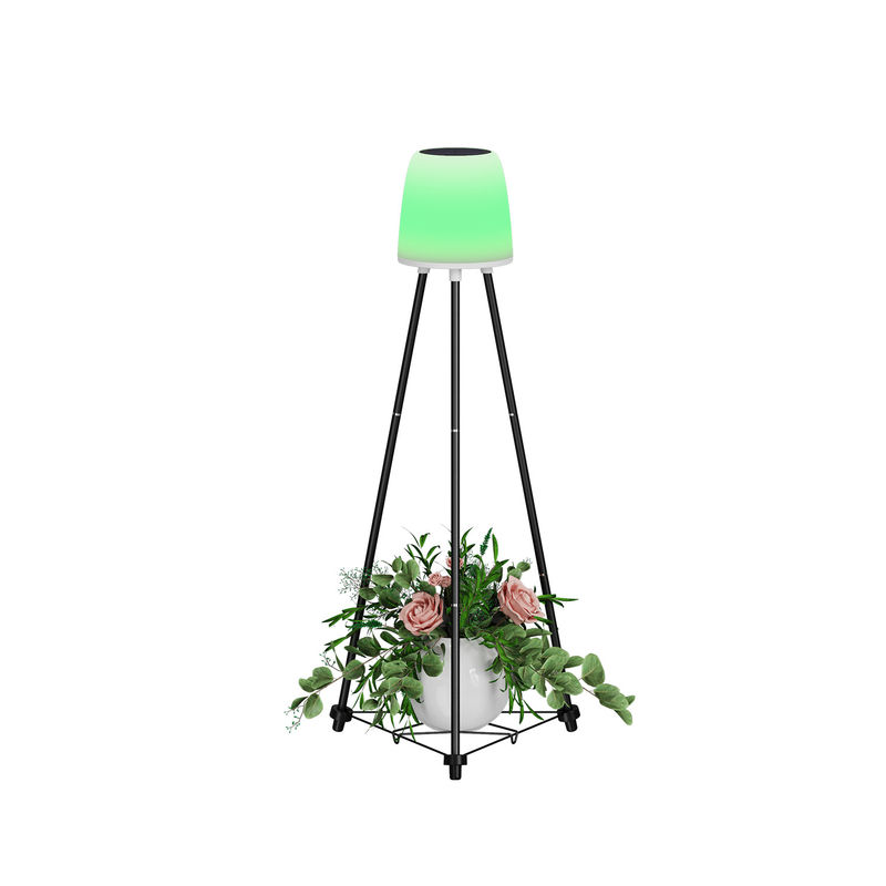 0.2W Solar Christmas Decorative Lights 0.3kg Inner Box Size 22*20*40.5CM G.W 1.9KG